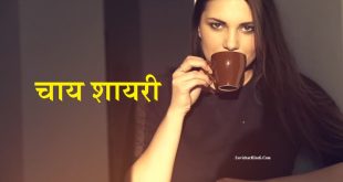 { चाय शायरी } Tea Quotes in Hindi - Chai Status