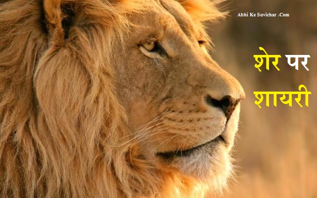 Lion King शेर शायरी - Lion Shayari in Hindi